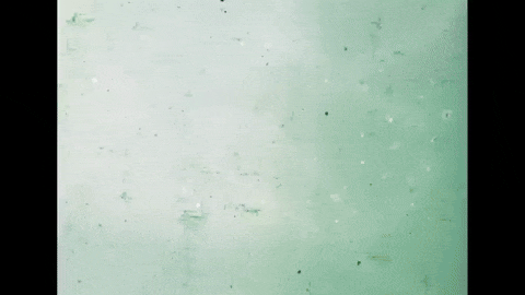 Let's Make a Film (1971).mp4.10.gif